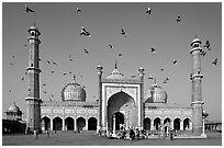 Jama Masjid with pigeons flying. New Delhi, India (black and white)