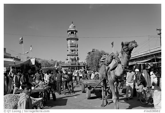 Camel and clock tower in Sardar Market. Jodhpur, Rajasthan, India (black and white)