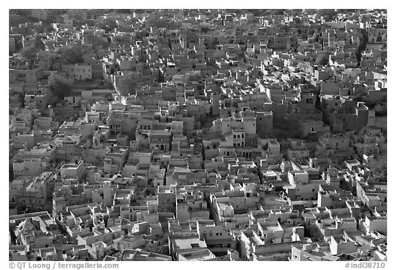 View over a sea of blue houses from Mehrangarh Fort. Jodhpur, Rajasthan, India (black and white)