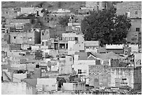 Old quarter houses at dawn. Jodhpur, Rajasthan, India ( black and white)
