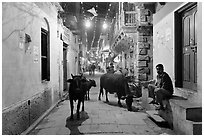 Cows in narrow old city street at night. Varanasi, Uttar Pradesh, India (black and white)