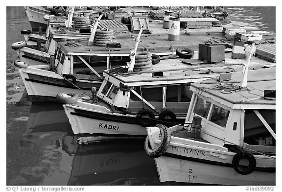 Tour boats. Mumbai, Maharashtra, India (black and white)