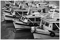 Tour boats. Mumbai, Maharashtra, India (black and white)