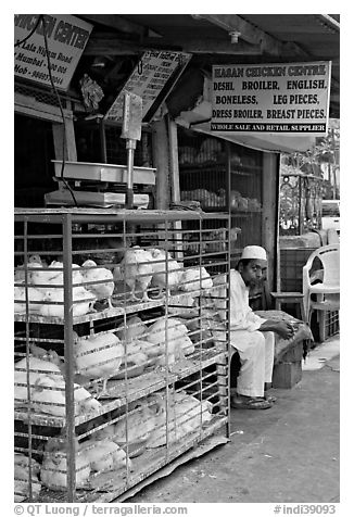 Chicken vendor, Colaba Market. Mumbai, Maharashtra, India (black and white)