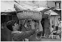 Men unloading basket with huge fish from head, Colaba Market. Mumbai, Maharashtra, India ( black and white)
