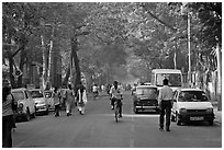 Tree-lined street, Colaba. Mumbai, Maharashtra, India ( black and white)