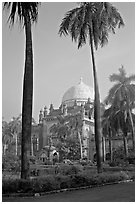 Chhatrapati Shivaji Mahraj Vastu Sangrahalaya gardens. Mumbai, Maharashtra, India ( black and white)