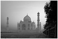 Mausoleum at sunrise, Taj Mahal. Agra, Uttar Pradesh, India ( black and white)