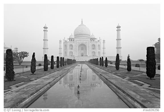Ornamental gardens and Taj Mahal, sunrise. Agra, Uttar Pradesh, India (black and white)