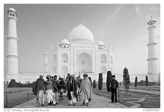 Men with turbans and cows in front of Taj Mahal, early morning. Agra, Uttar Pradesh, India (black and white)