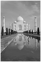 Taj Mahal reflected in basin, morning. Agra, Uttar Pradesh, India (black and white)