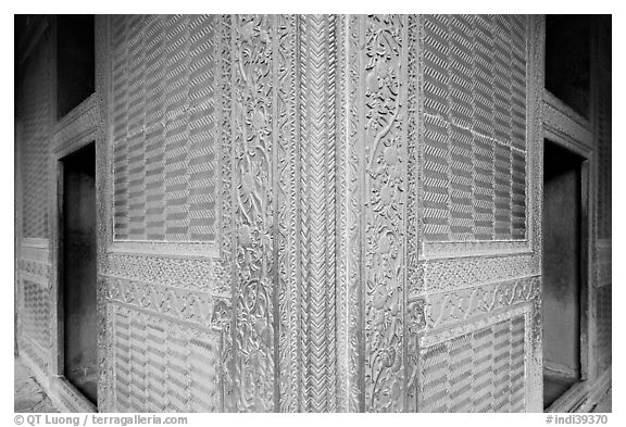 Rumi Sultana, entirely covered with carvings. Fatehpur Sikri, Uttar Pradesh, India (black and white)