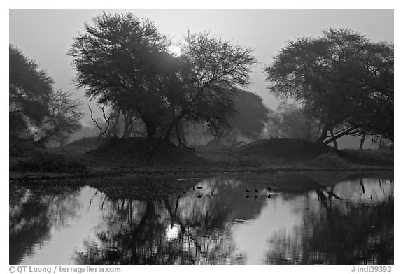Pond at sunrise, Keoladeo Ghana National Park. Bharatpur, Rajasthan, India