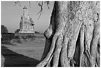 Javari Temple and tree, Eastern Group, late afternoon. Khajuraho, Madhya Pradesh, India ( black and white)