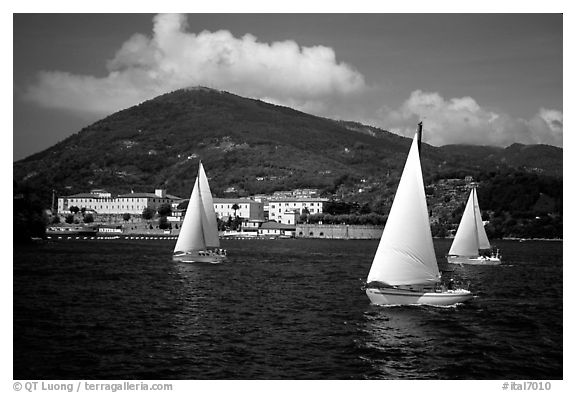 Sailboats cruising, La Spezia. Liguria, Italy