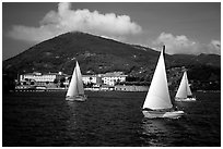 Sailboats cruising, La Spezia. Liguria, Italy (black and white)