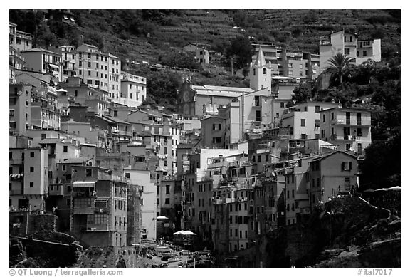 Jumble of houses, Riomaggiore. Cinque Terre, Liguria, Italy
