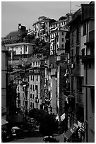 Main street, Riomaggiore. Cinque Terre, Liguria, Italy ( black and white)