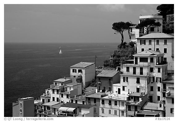 Houses built on the sides of steep hills overlook the Mediterranean, Riomaggiore. Cinque Terre, Liguria, Italy (black and white)