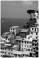 Houses built on the sides of a steep ravine overlook the Mediterranean, Riomaggiore. Cinque Terre, Liguria, Italy ( black and white)