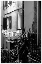 Courtyard, Vernazza. Cinque Terre, Liguria, Italy (black and white)