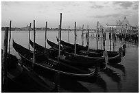 Gondolas, Canale della Guidecca, Santa Maria della Salute church at dawn. Venice, Veneto, Italy (black and white)