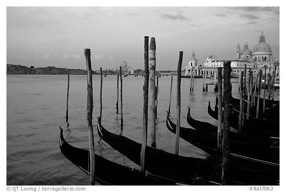 Moored Gondolas, Canale della Guidecca, Santa Maria della Salute church at sunrise. Venice, Veneto, Italy (black and white)