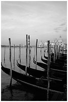 Parked gondolas, Canale della Guidecca, church Santa Maria della Salute, sunrise. Venice, Veneto, Italy (black and white)