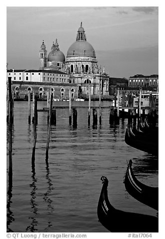 Moored gondolas, Canale della Guidecca, Santa Maria della Salute church at sunrise. Venice, Veneto, Italy