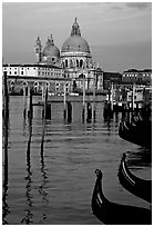 Moored gondolas, Canale della Guidecca, Santa Maria della Salute church at sunrise. Venice, Veneto, Italy (black and white)