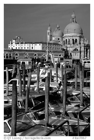 Water taxis and Santa Maria della Salute church, early morning. Venice, Veneto, Italy (black and white)