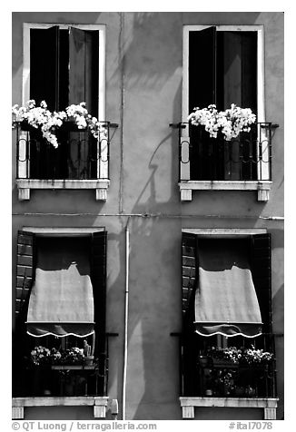 Windows, shutters, and flowers. Venice, Veneto, Italy (black and white)