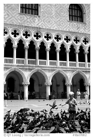 Boy feeding the pigeons in fron tof the Palazzo Ducale,  Piazza San Marco (Square Saint Mark), mid-day. Venice, Veneto, Italy (black and white)