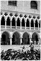 Boy feeding the pigeons in fron tof the Palazzo Ducale,  Piazza San Marco (Square Saint Mark), mid-day. Venice, Veneto, Italy (black and white)
