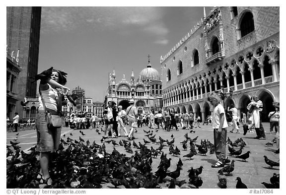 Tourists feeding  pigeons, Piazzetta San Marco (Square Saint Mark), mid-day. Venice, Veneto, Italy (black and white)