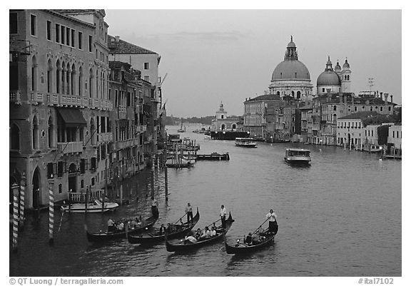 Gondolas, Grand Canal, Santa Maria della Salute church from the Academy Bridge,  sunset. Venice, Veneto, Italy