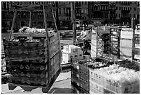 Delivery of fresh produce from the Grand Canal. Venice, Veneto, Italy (black and white)