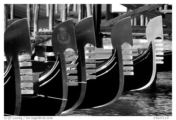 Row of gondolas prows, with their characteristic ferri. Venice, Veneto, Italy