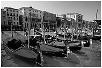 Row of gondolas covered with blue tarps, the Grand Canal. Venice, Veneto, Italy (black and white)