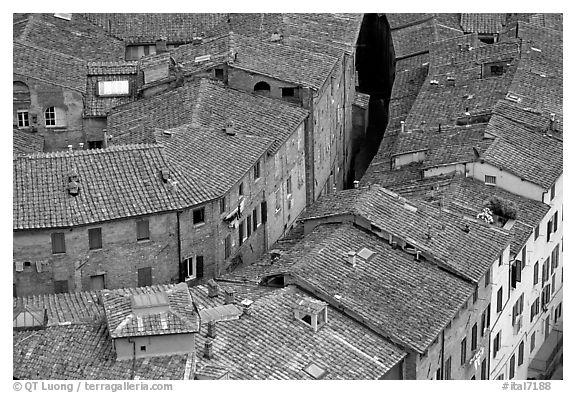 Rooftops seen from Torre del Mangia. Siena, Tuscany, Italy (black and white)