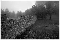Stone wall. San Gimignano, Tuscany, Italy ( black and white)