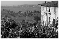 Gardens and countryside on the periphery of the town. San Gimignano, Tuscany, Italy ( black and white)