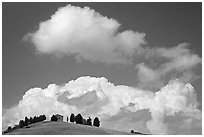 Fluffy clouds above ridge with cypress trees and house. Tuscany, Italy ( black and white)