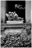 Window with flowers. Orvieto, Umbria ( black and white)