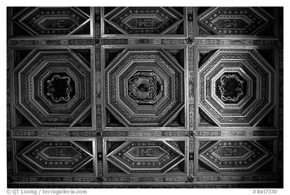 Ornemented ceilling, Villa d'Este. Tivoli, Lazio, Italy (black and white)