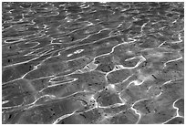 Water reflections, and coins lying in the Trevi Fountain. Rome, Lazio, Italy ( black and white)