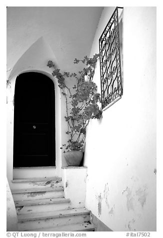 Door, red flowers, white walls, Positano. Amalfi Coast, Campania, Italy (black and white)
