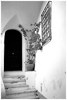 Door, red flowers, white walls, Positano. Amalfi Coast, Campania, Italy ( black and white)