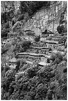 Cliffs and hillside terraces cultivated with lemons. Amalfi Coast, Campania, Italy ( black and white)