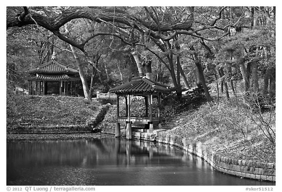 Pond in autumn, Changdeokgung Palace gardens. Seoul, South Korea